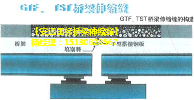TST無(wú)縫橋梁伸縮縫介紹 良品GTF橋梁伸縮縫3