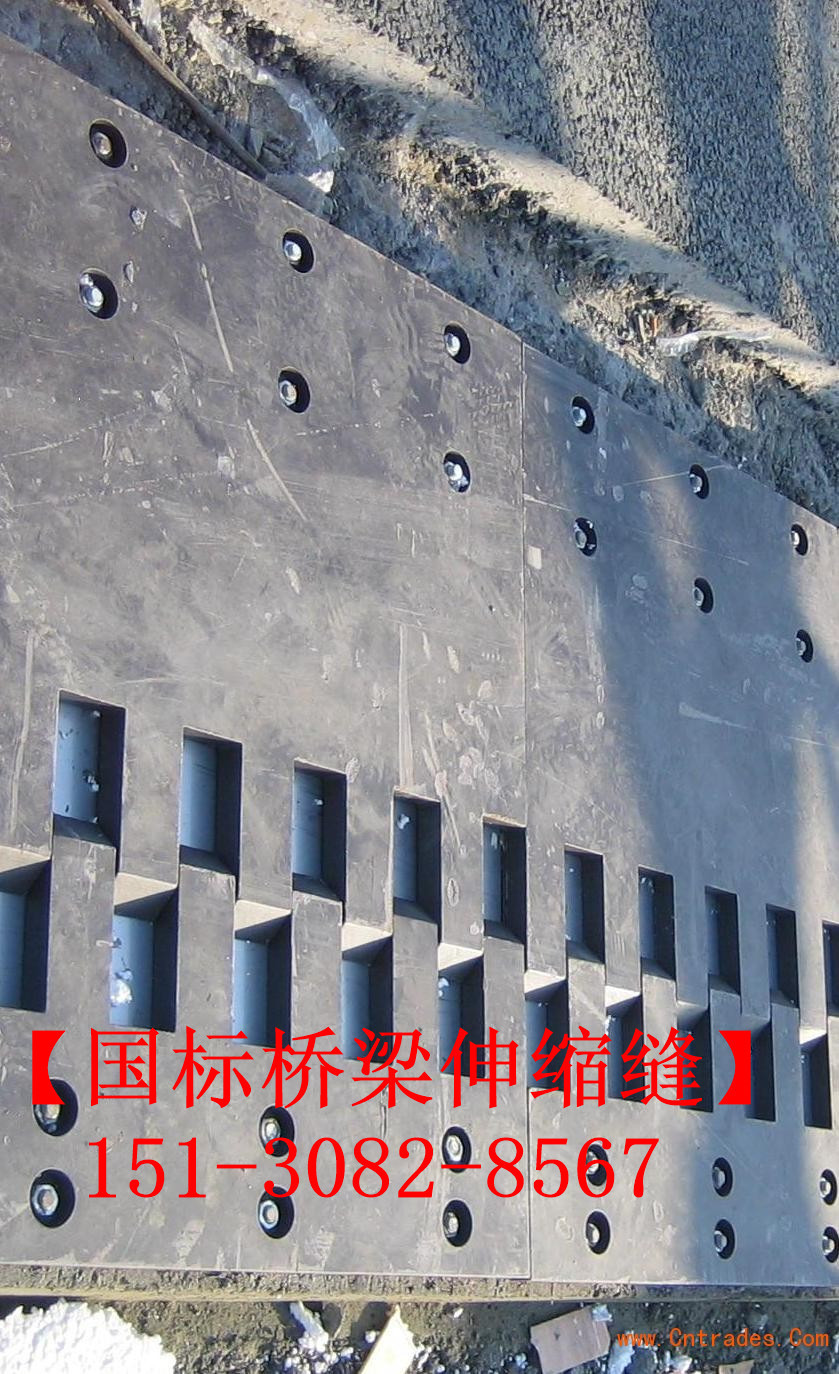 防水橋梁伸縮縫裝置 良品*標(biāo)五防伸縮縫裝置