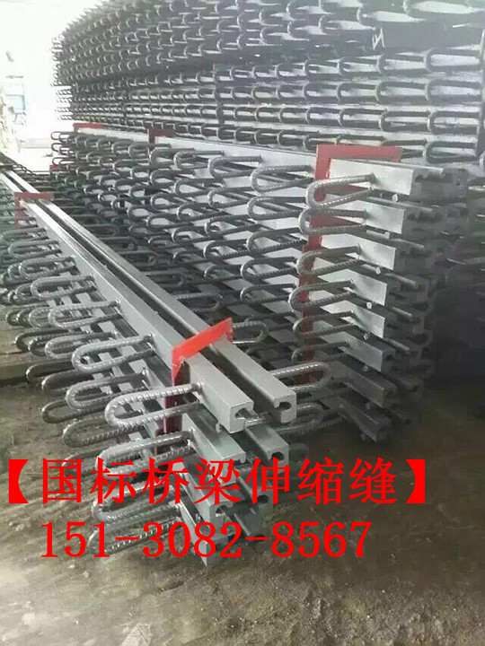 良品淺埋式橋梁伸縮縫裝置 *標橋梁伸縮縫廠家