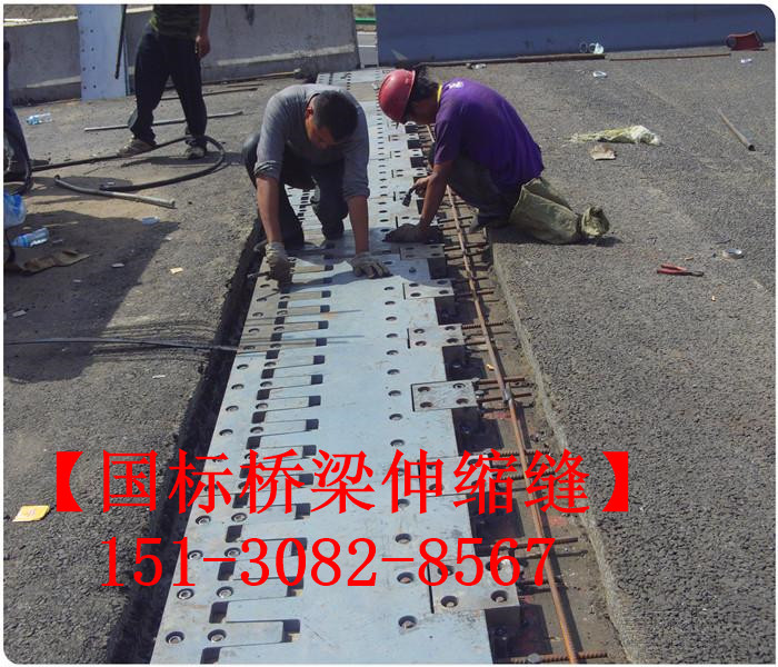 防水橋梁伸縮縫裝置 良品*標(biāo)五防伸縮縫裝置
