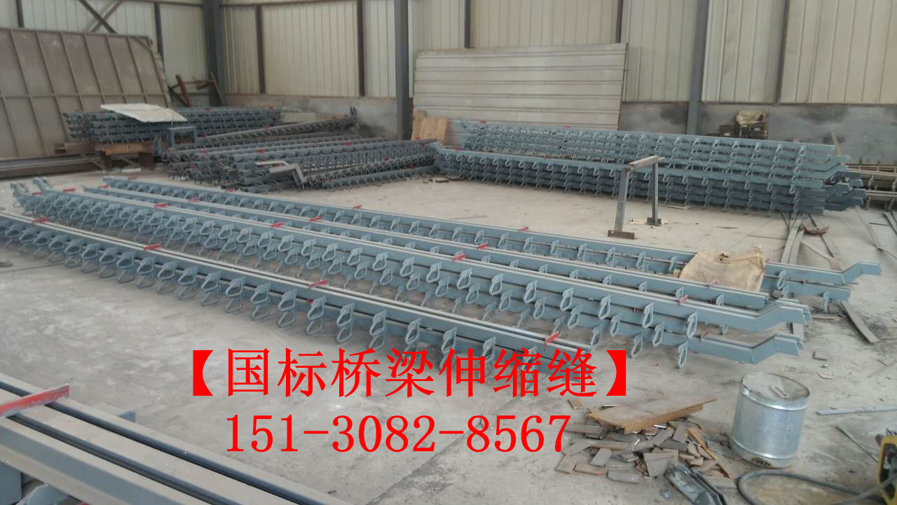 良品淺埋式橋梁伸縮縫裝置 *標橋梁伸縮縫廠家