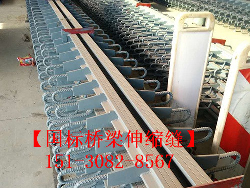 良品淺埋式橋梁伸縮縫裝置 *標橋梁伸縮縫廠家