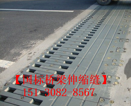 防水橋梁伸縮縫裝置 良品*標(biāo)五防伸縮縫裝置