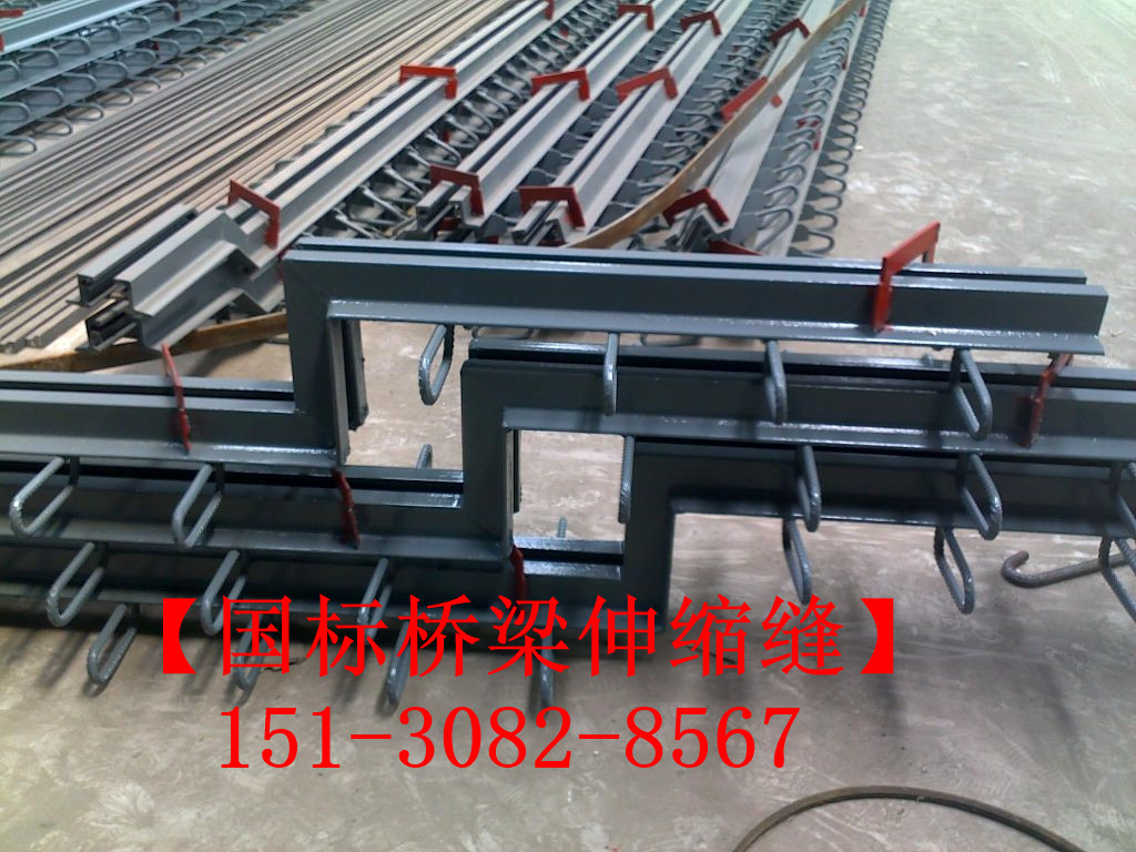 路面伸縮縫 良品*標公路鐵路橋梁伸縮縫裝置