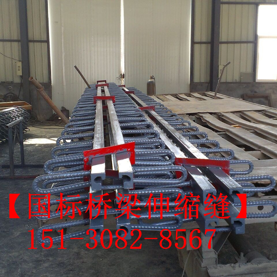 路面伸縮縫 良品*標公路鐵路橋梁伸縮縫裝置