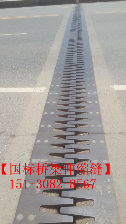 路面伸縮縫 良品*標公路鐵路橋梁伸縮縫裝置