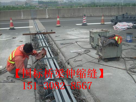 路面伸縮縫 良品*標公路鐵路橋梁伸縮縫裝置
