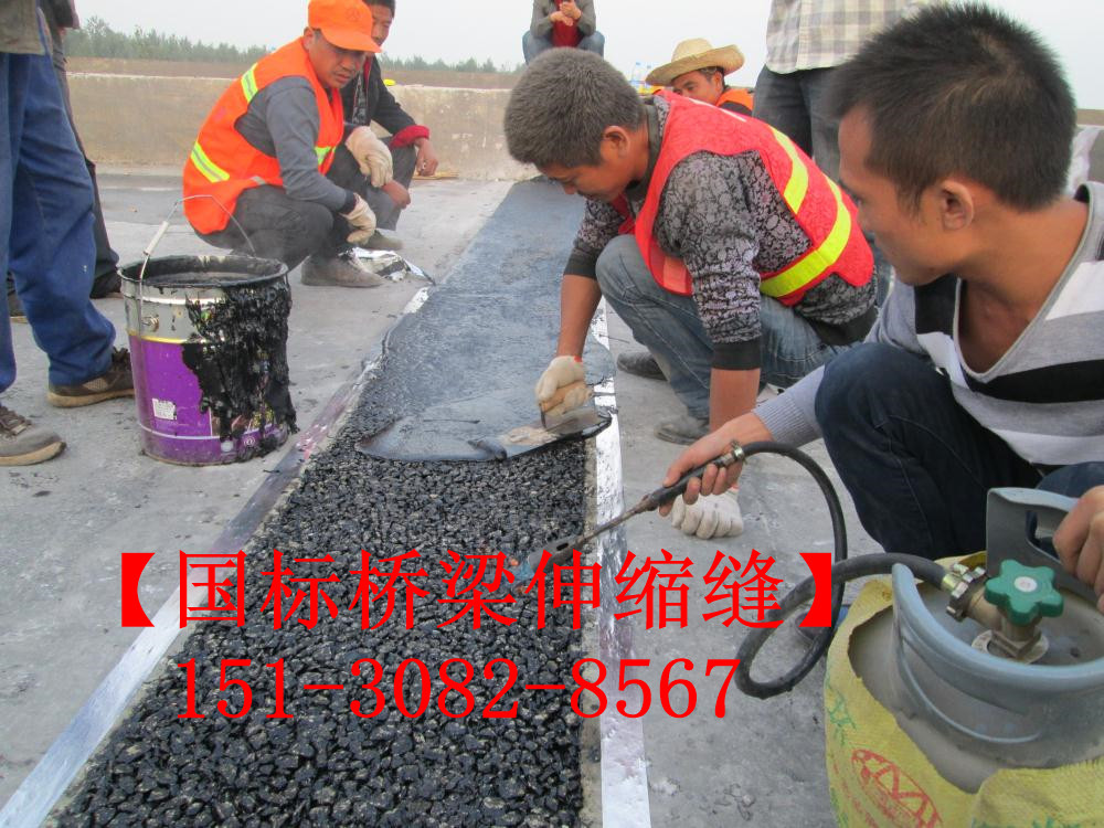 良品橋梁伸縮縫施工工藝維修養(yǎng)護(hù)準(zhǔn)則