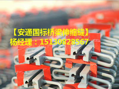 80型橋梁伸縮縫概述 良品公路橋梁80型伸縮縫廠家1