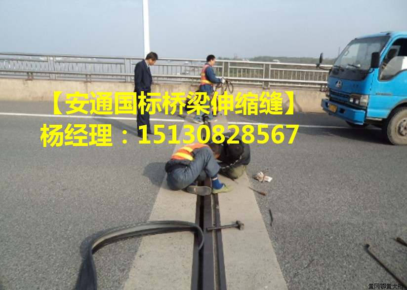 良品橋梁伸縮縫裝置分廠簡(jiǎn)介3