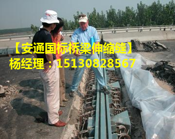 良品公路橋梁伸縮縫安裝與施工*標工藝解讀2