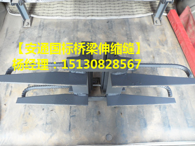 橋梁伸縮縫 GQF-Z型E80型橋梁伸縮縫裝置廠家4