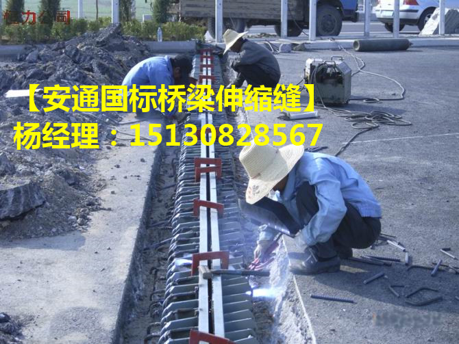 公路橋梁伸縮縫結構、性能及安裝方法介紹3