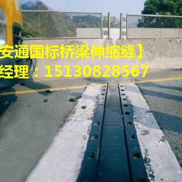 公路橋梁伸縮縫結構、性能及安裝方法介紹2