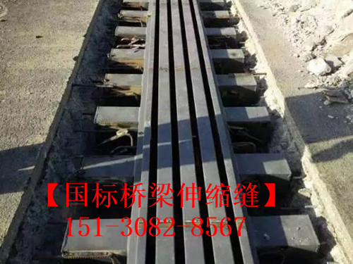 MZL型伸縮裝置的組成方式GQF-MZL模數(shù)式橋梁伸縮縫1