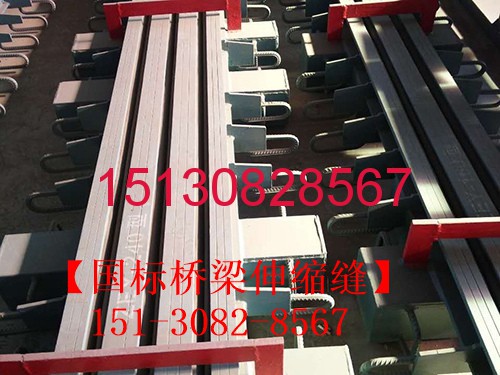 公路橋梁伸縮縫養(yǎng)護 橋梁伸縮縫產品型鋼錳鋼伸縮縫廠家151-3082-8567