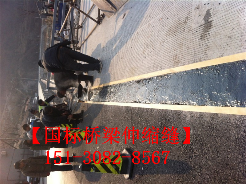 橋梁 伸縮縫安裝與施工正規(guī)化操作規(guī)程2