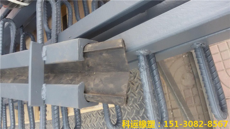 鋼板梳齒型橋梁伸縮縫裝置廠家直銷 生產(chǎn)制造**2